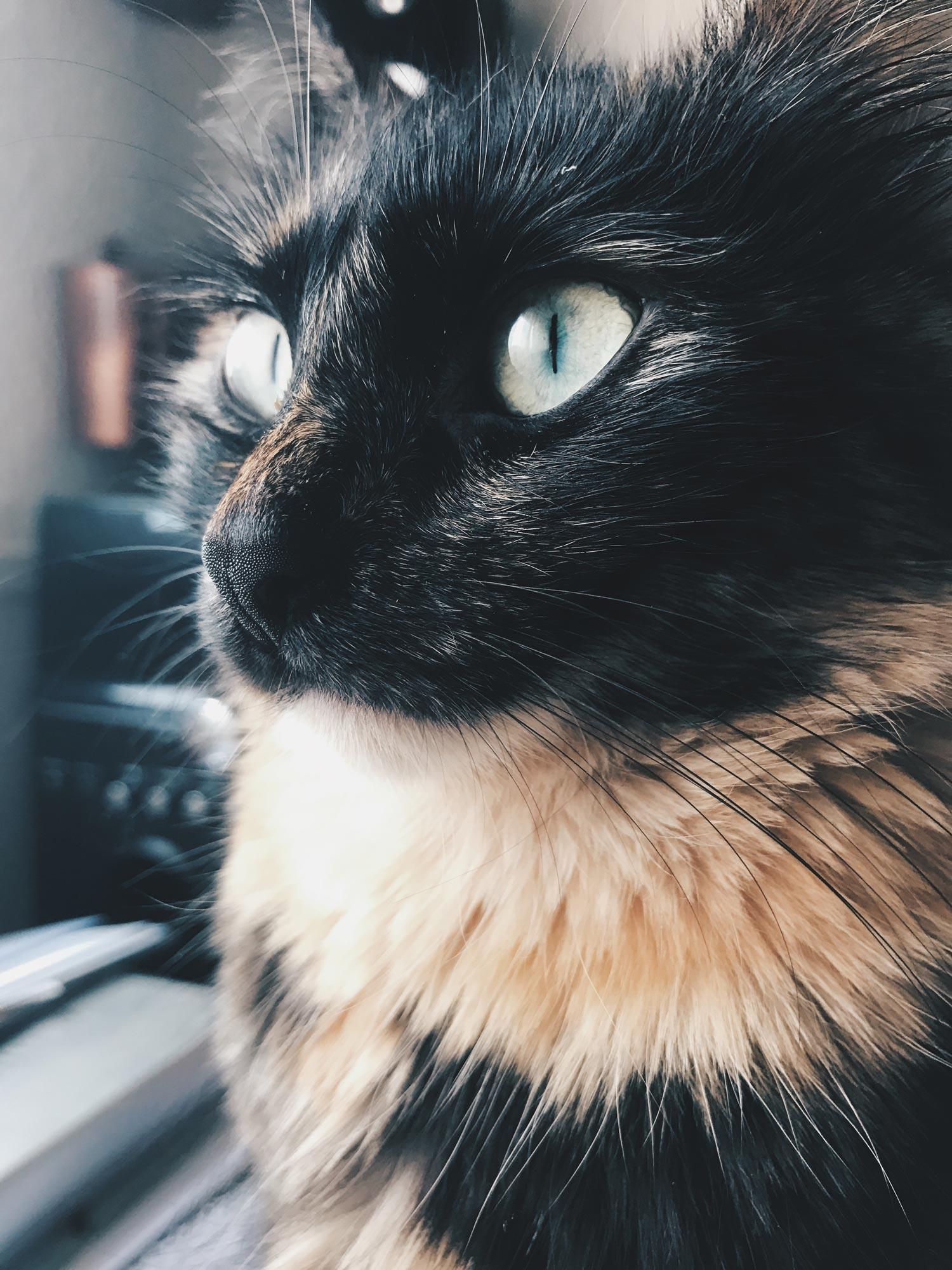 Nos hemos enamorado de esos ojazos verdes... ¿Puede ser más bonita?