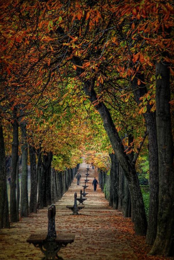Hablaba Antonio Vega de cómo 'Pasa el otoño en Madrid', del color ocre de las hojas que extienden su alfombra por las calles de la capital. (Foto: Pinterest)