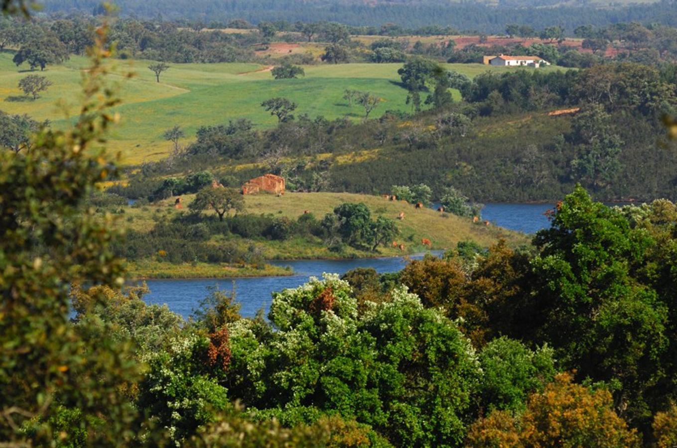 La Ruta Vicentina, en el Algarve portugués, te lleva, literalmente, hasta el fin del mundo: es decir, hasta Fisterra, en Galicia, el extremo más occidental del mundo antiguo. (Foto: Turismo Ruta Vicentina)