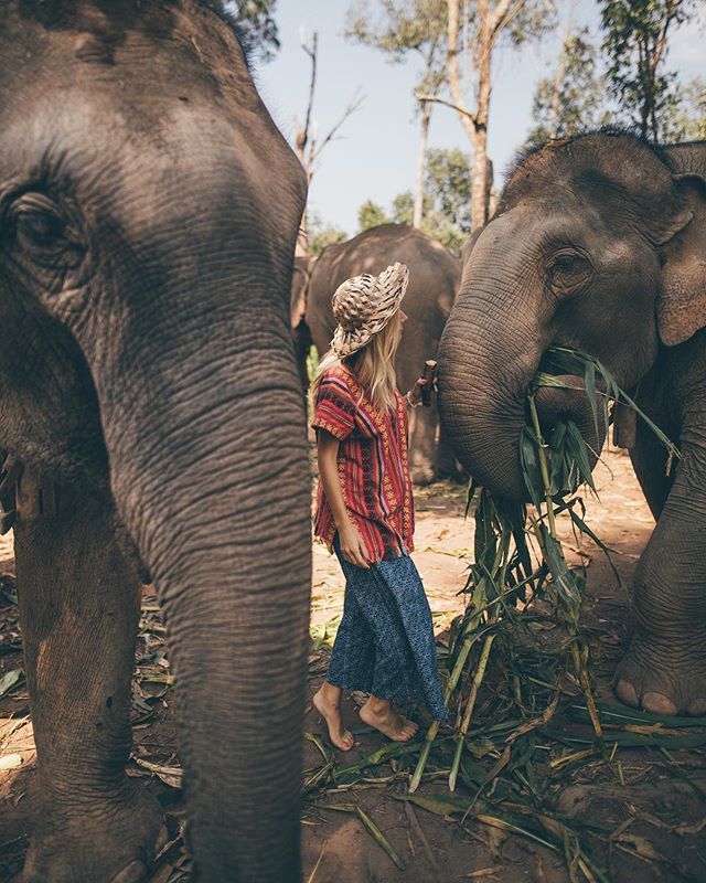 @travel_inhershoes. Además de viajera, es bloguer y youtuber. Le gusta hacerse fotos bonitas en cada lugar que visita y logra un perfecto perfil de colores aclarados.