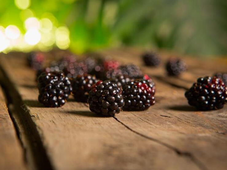 Fotos: Los alimentos que mejoran la vista y cuidan de tus ojos