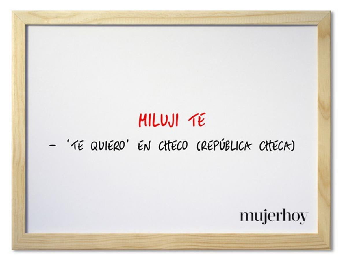 Cómo se dice 'te quiero' en checo