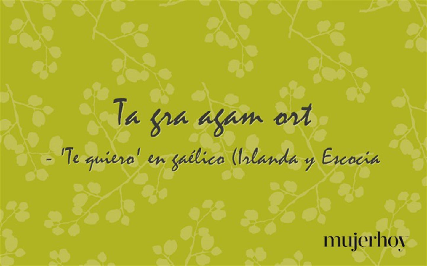 Cómo se dice 'te quiero' en gaélico