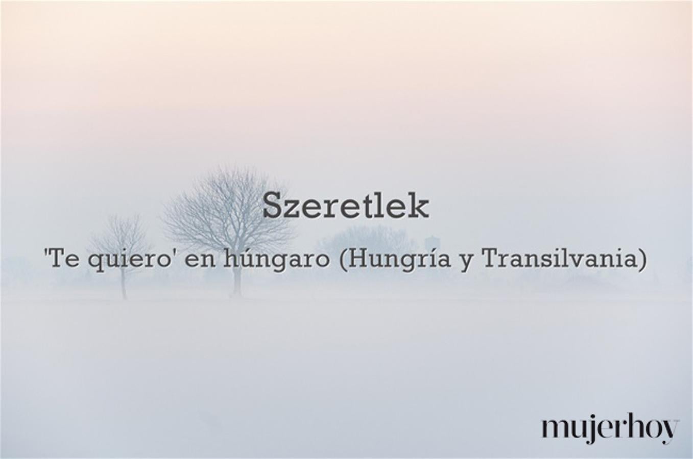 Cómo se dice 'te quiero' en húngaro