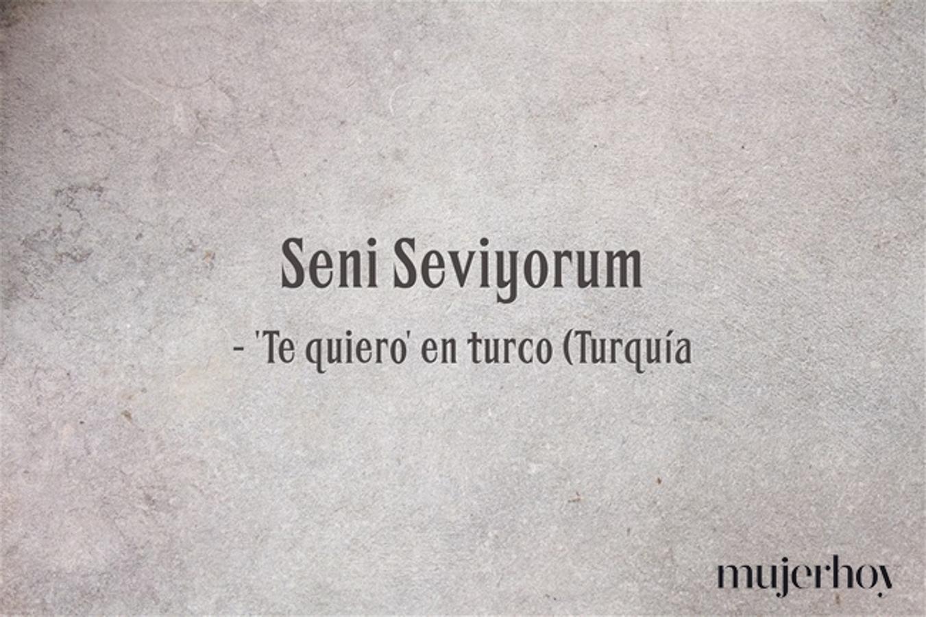 Cómo se dice 'te quiero' en turco