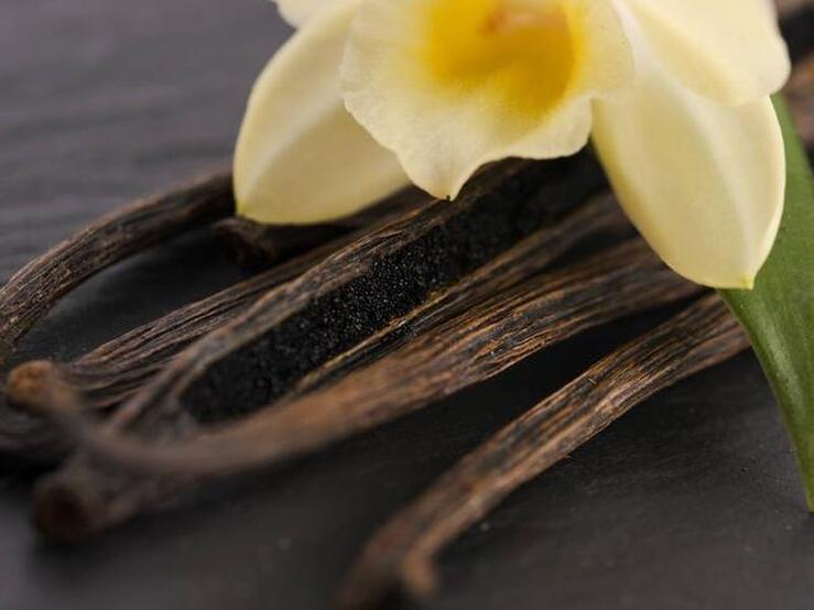 Fotos: Cinco alimentos con los que te sentirás más sexy