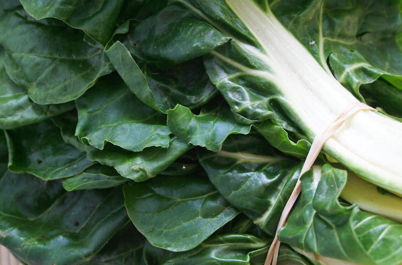 Si tienes hambre puedes prepararte una apetitosa ensalada con todas las verduras que desees, un plato de verdura hervida o verduritas a la plancha con un mínimo de aceite. Saciarán tu apetito y mantendrán tu línea. Las acelgas son una excelente idea, pues es un plato versátil.