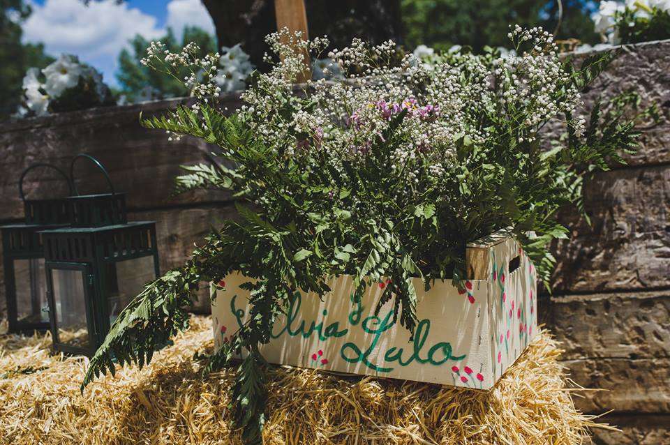 Más allá de las tradicionales rosas, son muchas las especies de flores que brotan en los meses de abril, mayo y junio, y las podrás usar para  decorar los rincones más especiales o las mesas de tu boda .