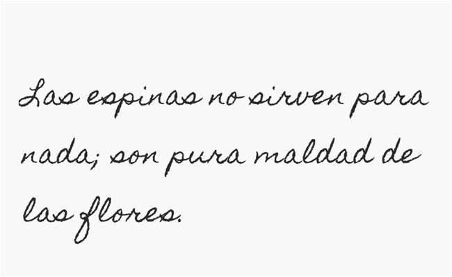 Las espinas no sirven para nada; son pura maldad de las flores