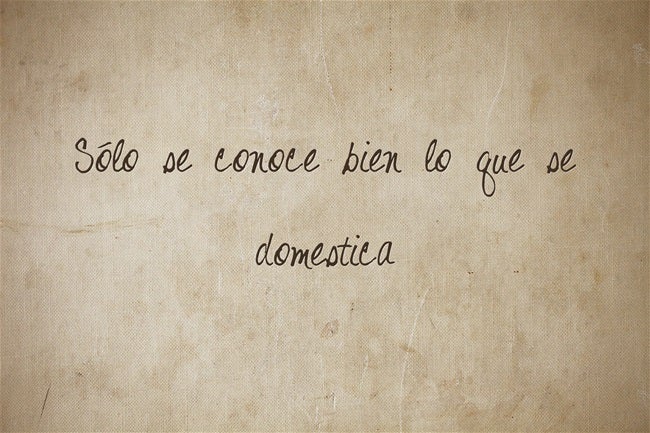Solo se conoce bien lo que se domestica