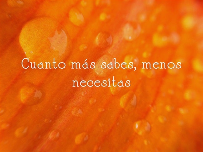 Cuanto más sabes, menos necesitas.