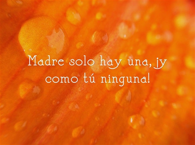 ¡Madre solo hay una y como tú ninguna!