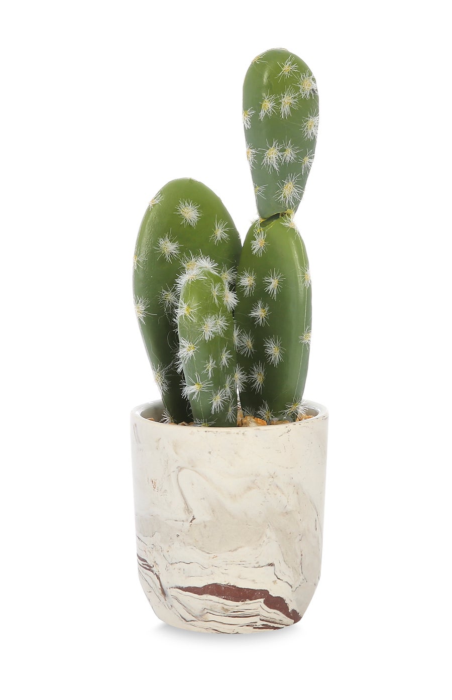 Decoración de cactus: Y para aquellos que viajan mucho y no tienen tiempo de cuidar delicadas plantas que requieren mucha atención, ¡llegaron los cactus!