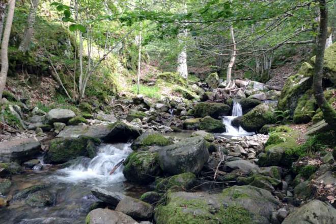 Ezcaray, un pueblo de la comarca de La Rioja Alta, conocido como el pueblo mutante según la estación. Es además muy conocido por la exquisita gastronomía de sus bares de pinchos. Conserva una Real Fábrica de Tapices de Santa Bárbara que data del siglo XVIII. Y es uno de los pueblos con turismo rural más activo. Y uno de los pocos que cuenta con una estación de esquí.