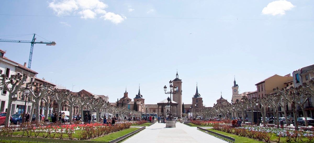Alcalá de Henares: Alcalá de Henares, la cuna de Cervantes y Patrimonio de la Humanidad, recoge sitios encantadores que te harán querer volver sin haberte ido. Sus palacios, Plazas como la de Cervantes, la case del escritor, pero también sus bares y sus costumbres más del día a día. ¡Encantadora Alcalá!
