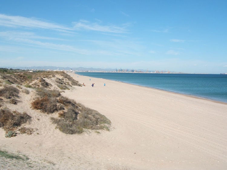 La playa El Saler es una buena alternativa a las playas más visitadas de Valencia como la Malvarrosa o la Patacona. Al igual que estas dos playas tan populares es extensa pero es mucho más tranquila, ideal para visitarla en familia o buscar unas vacaciones de lo más relajantes.