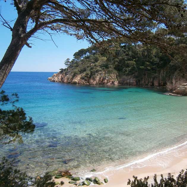 En un entorno natural y privilegiado encontramos la cala Treumal, situada entre las localidades de Blanes y Lloret de Mar. Agua cristalina y arena fina, ¿qué más se puede pedir?