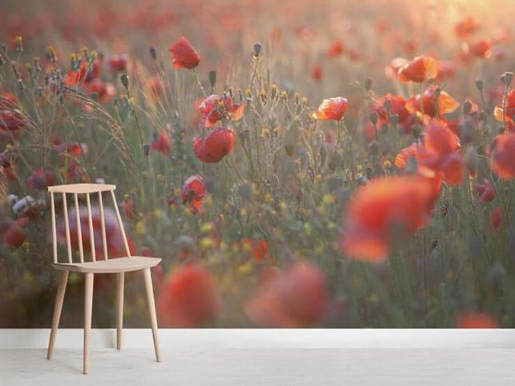 Fotos: Ideas deco para el verano: llena tu casa de flores con estos papeles pintados