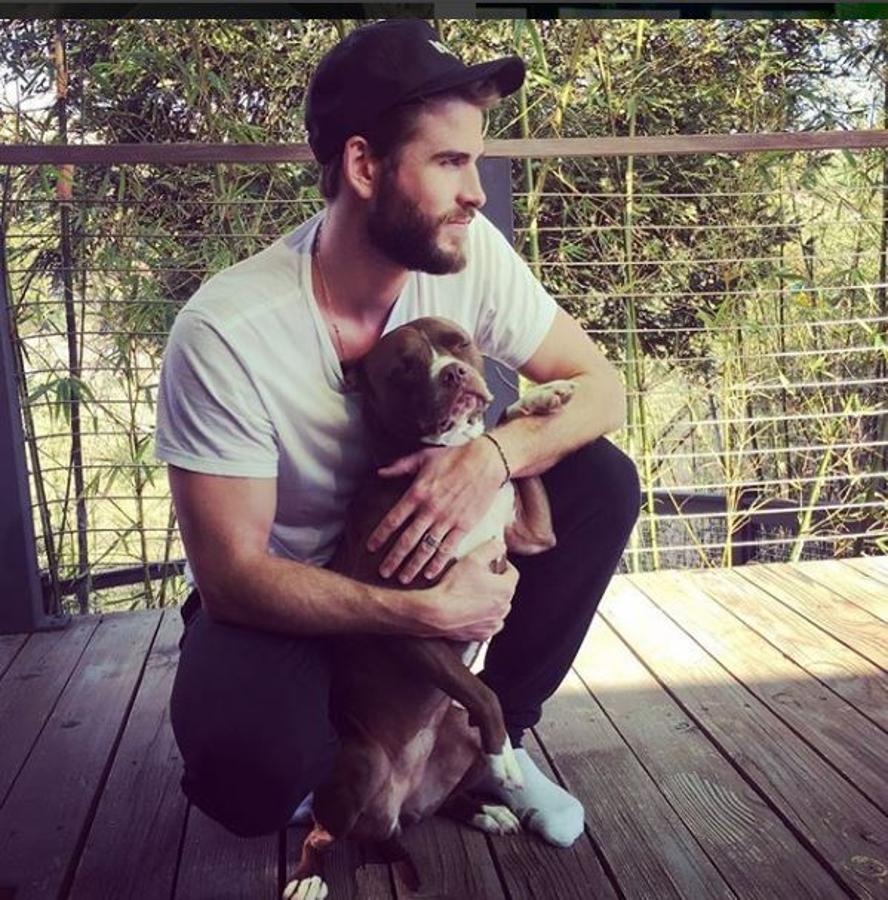 El actor australiano adoptó a Dora cuando se encontraban dándose un tiempo en su relación con la cantante Miley Cyrus. Es un verdadero amante de los animales, y así lo deja ver en su cuenta de Instagram.
