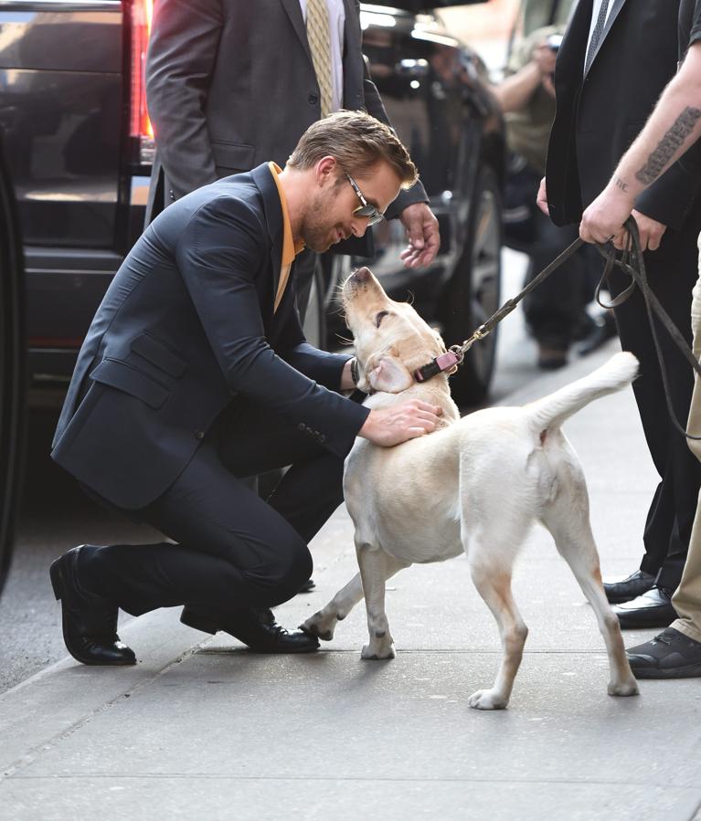 Hace años que Ryan adoptó a su perro, George, y es habitual verlos a él y a Eva Mendes pasearlo.