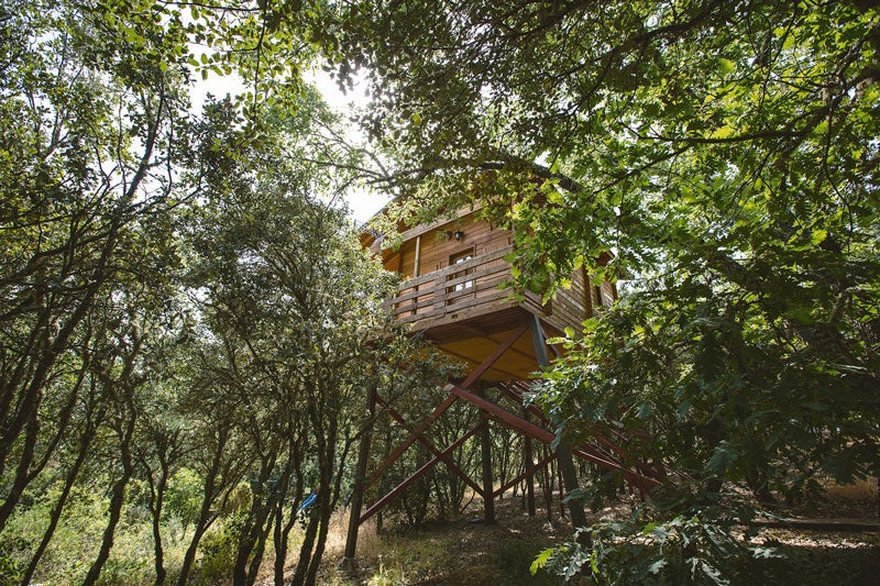 Explorar Cabañeros. ¿Por qué nos gusta? Por el espectacular enclave del Ecolodge Cabañeros, en las lindes del Parque Nacional. No olvidéis los prismáticos para ver ciervos, corzos, rapaces y rastros de lince ibérico. Organizan safaris fotográficos, trekkings con almuerzo campestre y talleres de fósiles.DÓNDE: en Retuerta del Bullaque (Ciudad Real). Cuánto: cabañas 4-6 personas, desde 110 €.