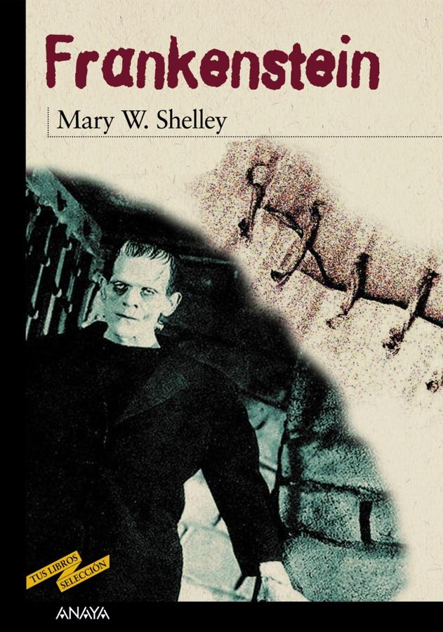 'Frankenstein', de Mary W. Shelley