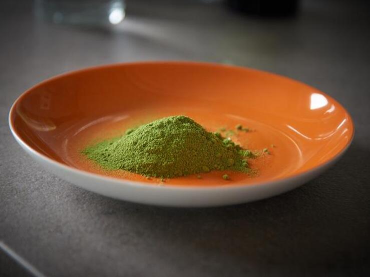 Fotos: Moringa, el activo vegetal de moda en la belleza