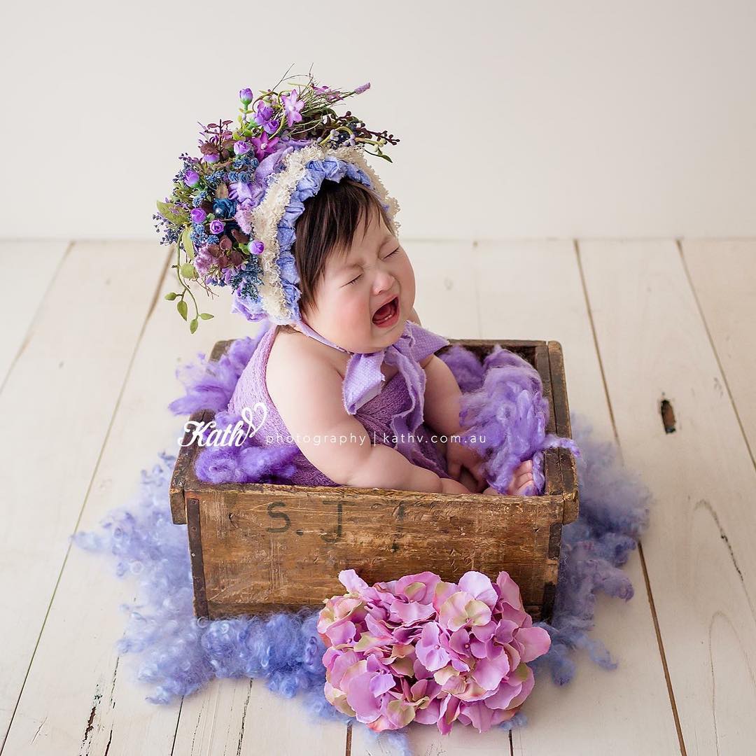 Parece que lo de meterse en cajas no le gusta mucho.