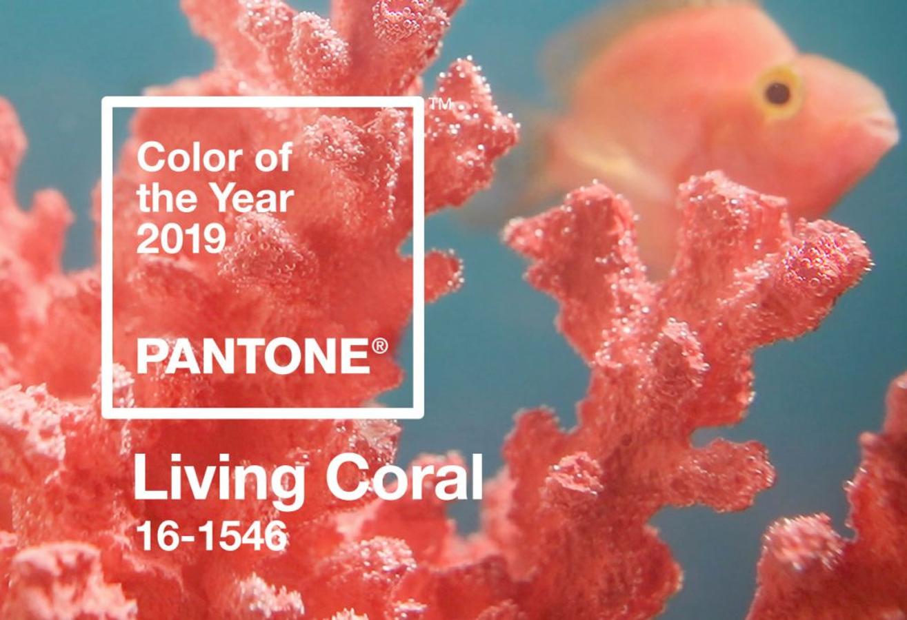 Como es tradición cuando llegamos a estas fechas, PANTONE ha publicado el color que será el rey de las tendencias del próximo año. El ganador para 2019 ha sido ‘Living Coral’ (PANTONE 16-1546), un tono entre rosáceo y naranja que nos sumerge en las profundidades del mar como respuesta "a la embestida de la tecnología digital y las redes sociales, cada vez más integradas en nuestras vidas diarias, y por lo que buscamos experiencias auténticas e inmersivas que refuercen la conexión y la intimidad".
