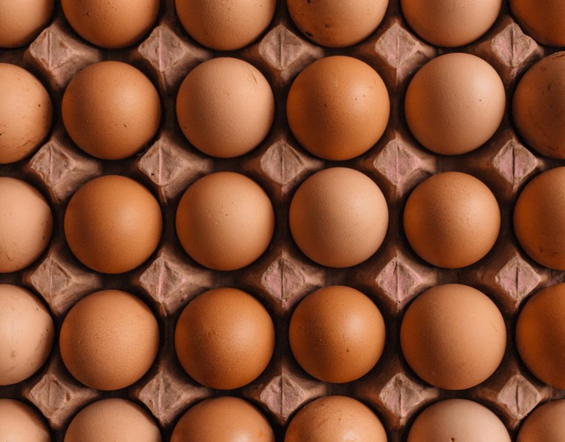 Las proteínas magras (huevos, pollo, pavo, pescado blanco...) aportan los nutrientes necesarios para  regular nuestro organismo . Además, aportan múltiples beneficios como el de poseer  muy poca grasa y fortalecer el sistema inmunitario .