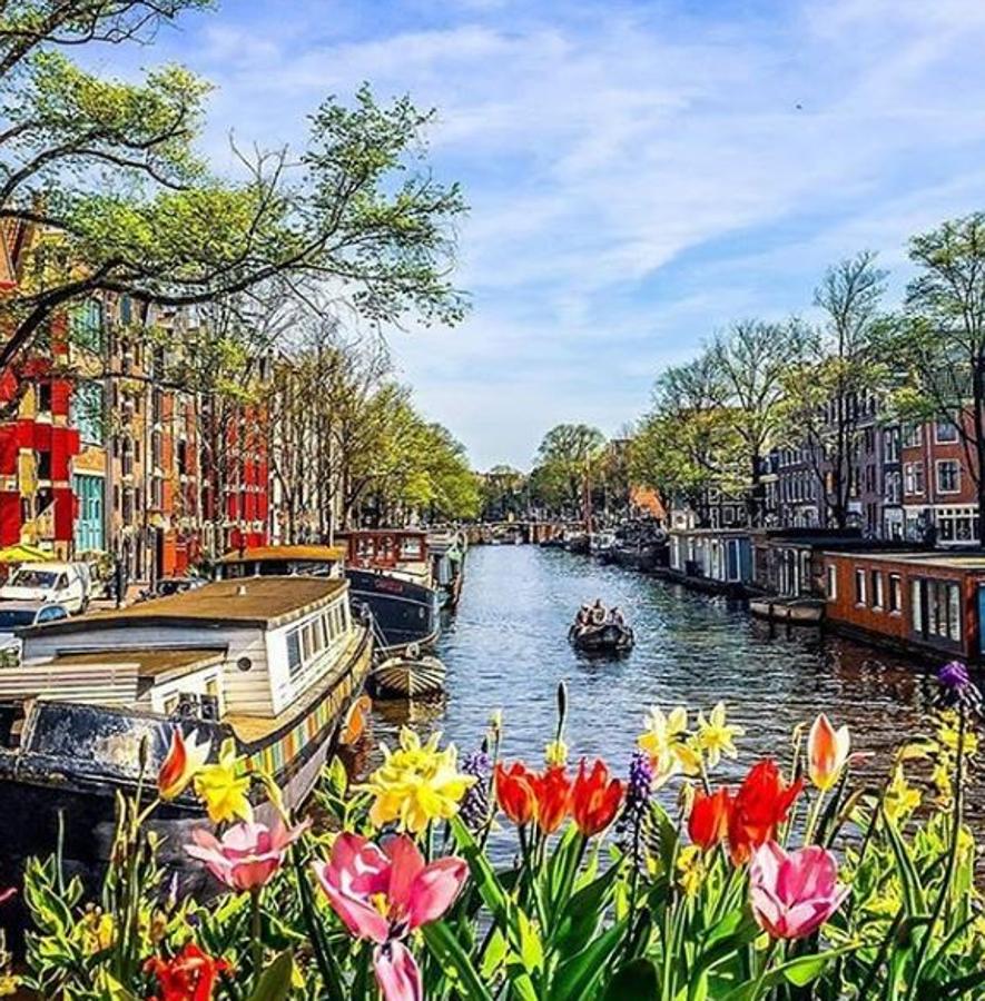 Ámsterdam es buena opción para cualquier época del año pero es, sin duda, un lugar único en primavera: más de  7 millones de tulipanes  reciben a los visitantes en lugares como Keukenhof, conocido como uno de los parques con mayor jardín floral del mundo del 20 de marzo hasta finales de mayo.