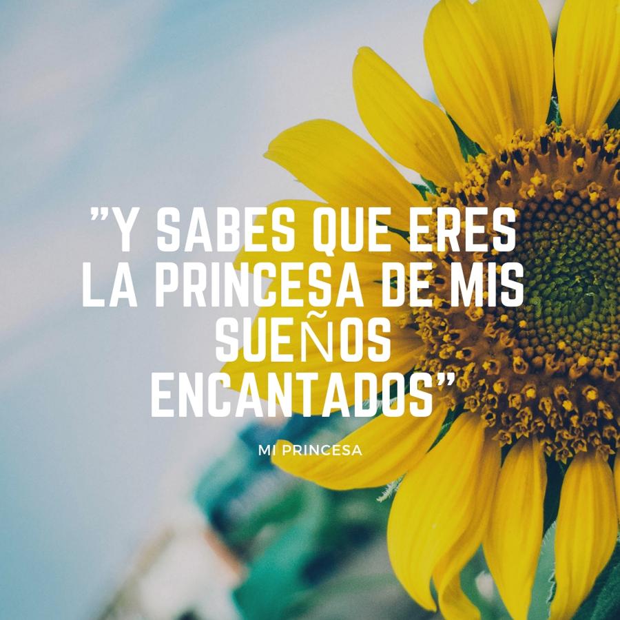 'Mi princesa' de David Bisbal.
