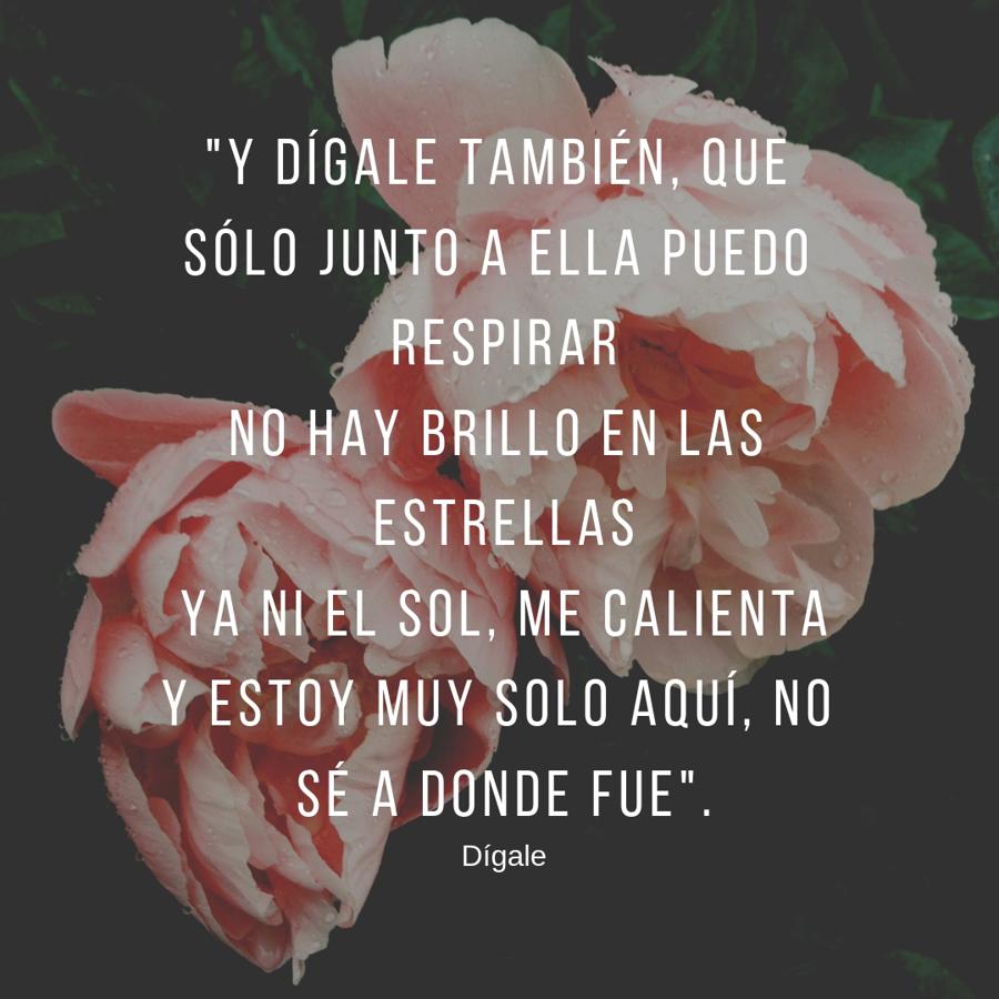 'Dígale', de David Bisbal.