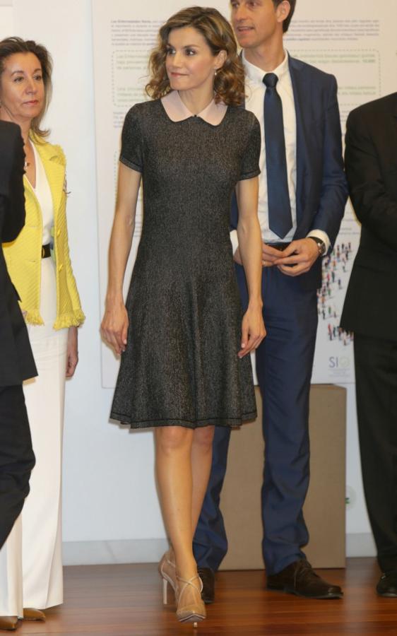 En el Congreso Educativo de Enfermedades Raras que se celebró en Bilbao en abril de 2016  la Reina estrenó este vestido  gris con detalle de cuerpo Peter Pan en rosa bebé de autoría desconocida, por el momento.