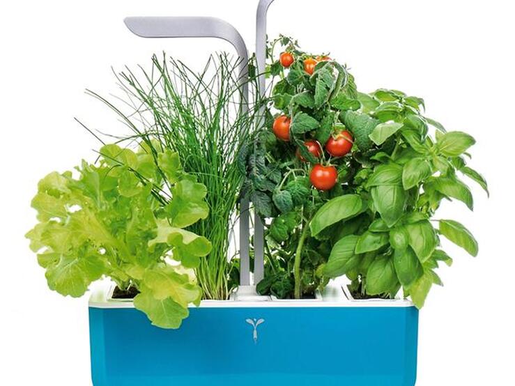 Fotos: Ideas deco para pintar tu casa de verde este verano