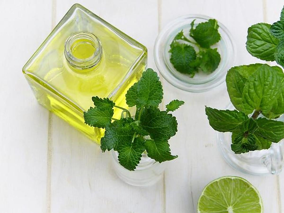 Su principal beneficios es que, inhalado, tiene un efecto excitante que hace que te despejes y focalices la atención. También se puede utilizar para aliviar dolores de cabeza y de tripa.