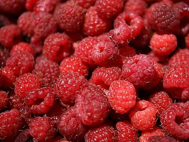 Aunque la gente no lo crea, las fambruesas son una gran fuente de fibra.