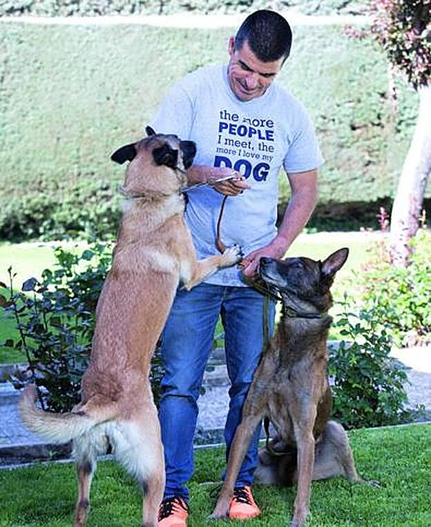 Sus perros son muy activos, necesitan estar en constante movimiento