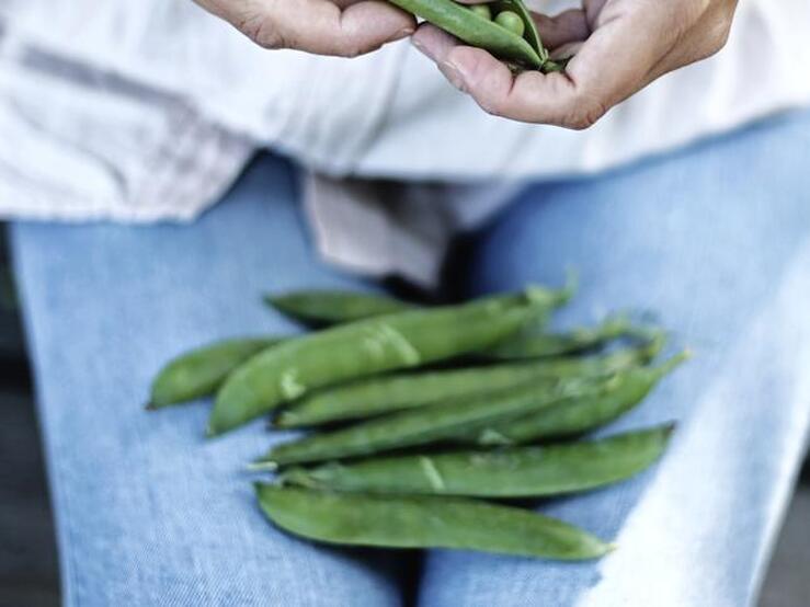 Fotos: Estas son las legumbres que menos engordan