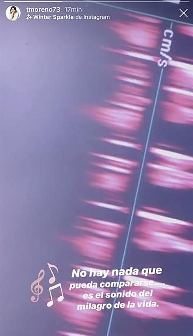 Esto es lo que colgaba Toñi Moreno.