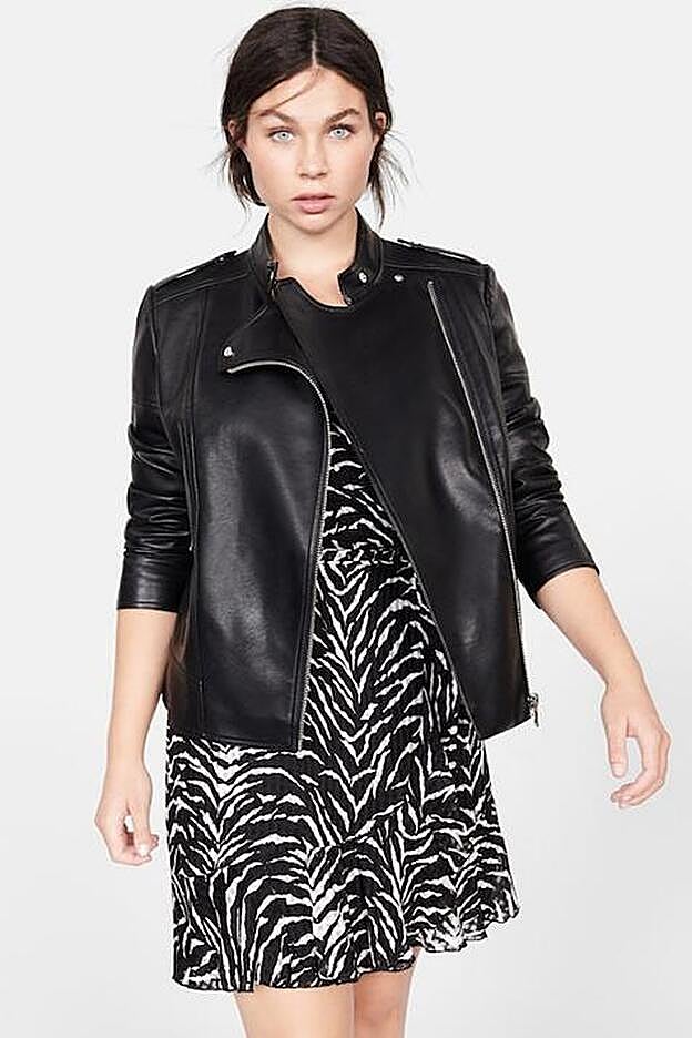 Biker de las tallas grandes de Violeta, con un largo hasta la cadera.