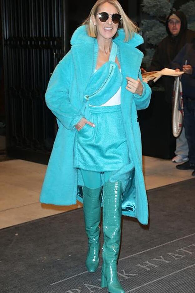 El impactante total look de Max Mara de Celine Dion.