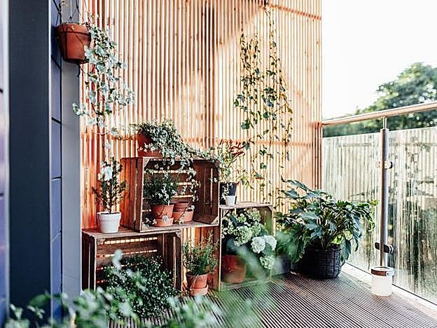 Improvisa un jardín vertical.