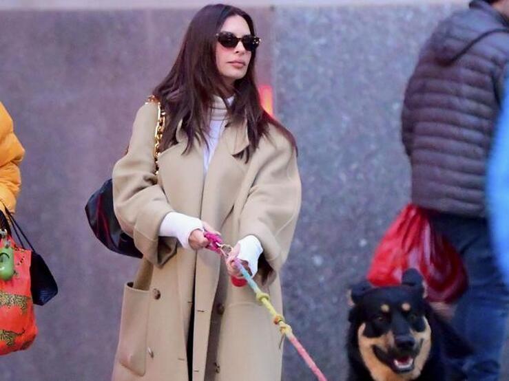 Fotos: Así salen a pasear las famosas a sus perros en plena cuarenta