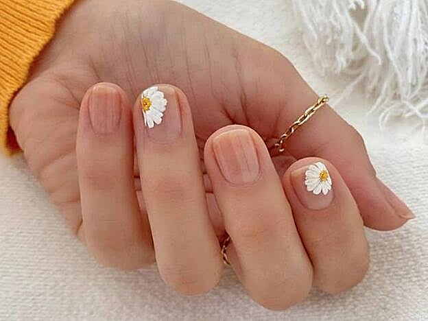 Nuestro diseño de margaritas favorito: con los pétalos apretados y textura.