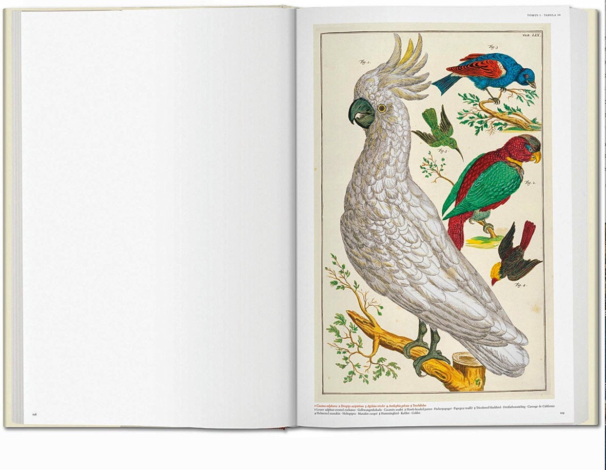 Interior de Cabinet of Natural Curiosities, de Albertus Seba (50 €), de Taschen.