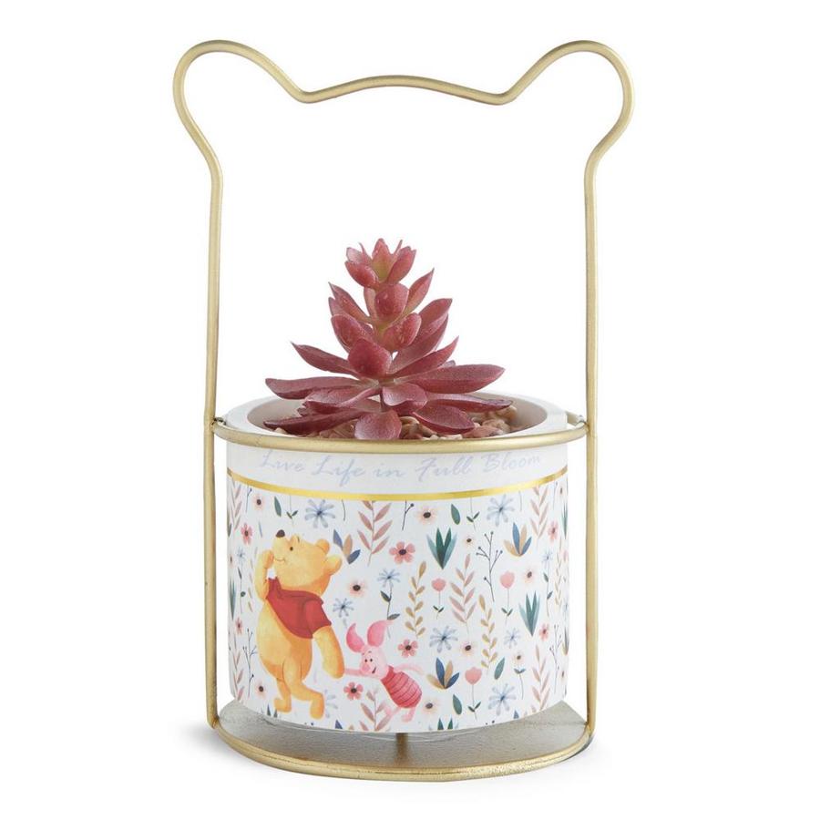 Maceta con cactus de Winnie the Pooh, (8 euros).