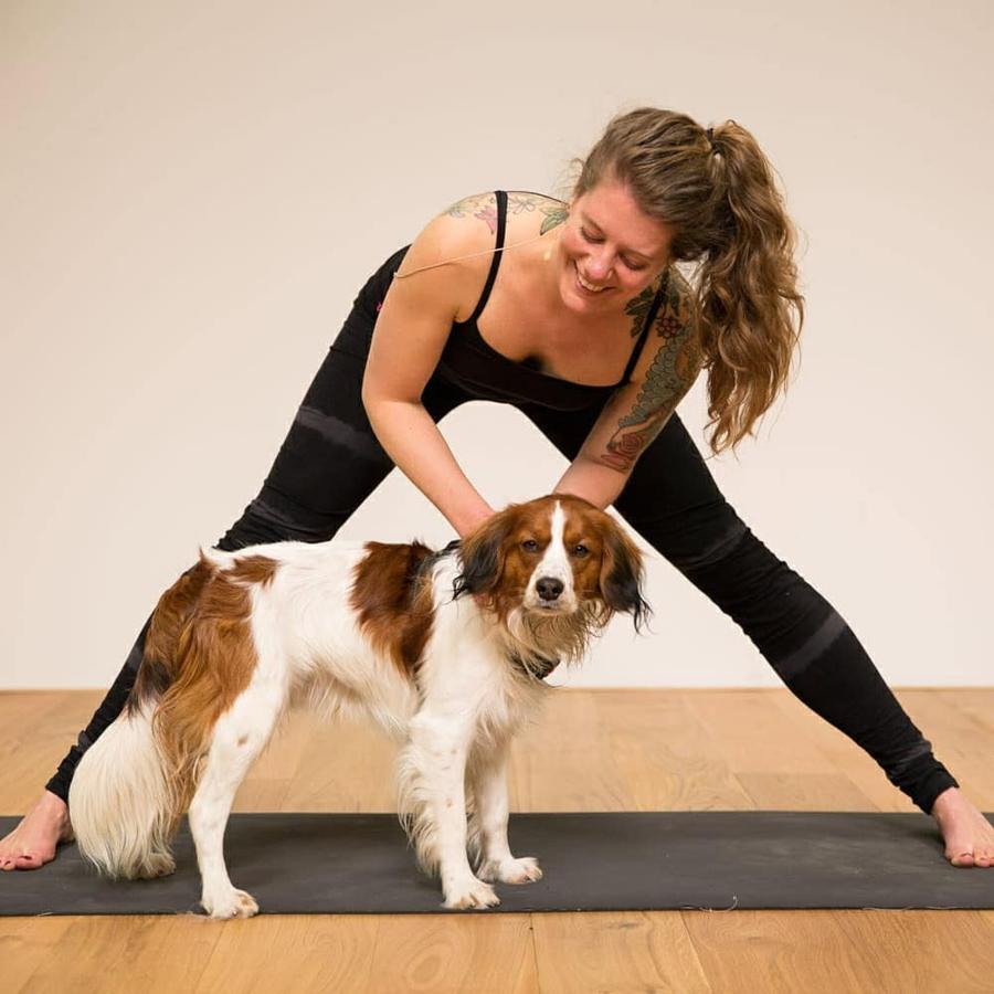 Está en inglés pero no nos importa porque este canal de Youtube cuenta con una serie de vídeos que se adaptan a todo tipo de cuerpos y de personas. ¿Qué eres runner? Pues hay vídeos de yoga para runners. ¿Qué tu punto débil es el cuello de tanto mirar el móvil? Pues también hay asanas para fortalecer esta zona. Hay hasta vídeos de yoga para gente que está preparando un examen.