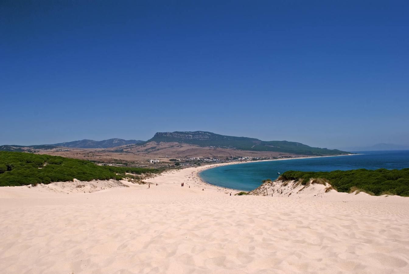 Es una de las playas más emblemáticas de Cádiz. Sobre todo, por su impresionante duna: situada en un extremo, tiene 30 metros de altura y, literalmente, 'se come' el bosque de pinos que hay a su alrededor. Desde lo alto tendrás una panorámica increíble no solo de la inmensa playa, sino también de la costa africana en días claros. Además, sobre Bolonia están las ruinas romanas de Baelo Claudia, del siglo II a. C., que bien merecen una visita. Estas dos cosas unidas al ambientazo que suele haber, convierten Bolonia en un lugar único para tener un perfecto día de playa.