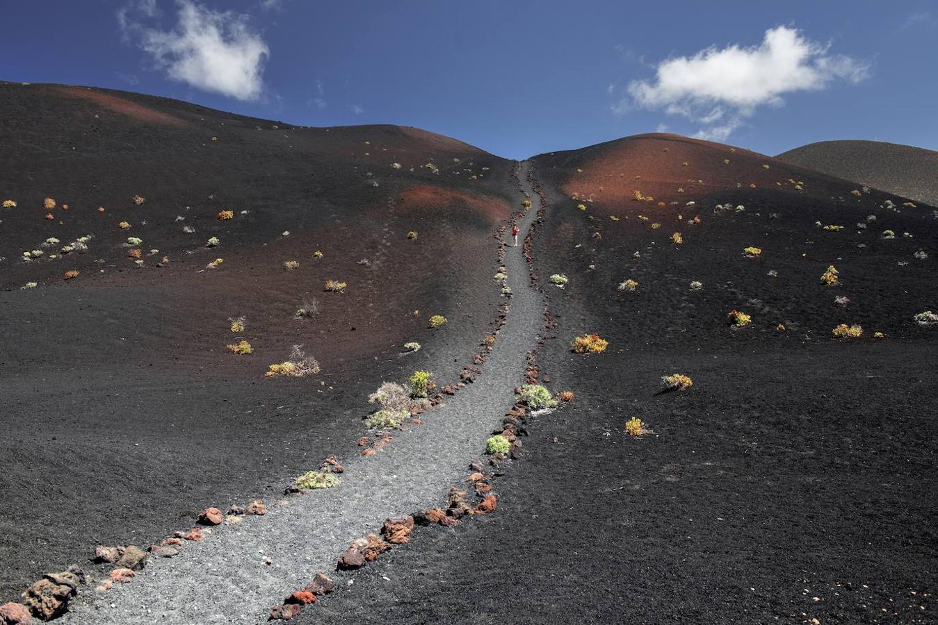 La isla de La Palma tiene tanta diversidad de paisajes que parece, realmente, un continente en miniatura enclavado en el archipiélago canario. De volcanes a espesos bosques, la isla ofrece mil planes para hacer con niños y, además, cuenta con buen clima todo el año. Puede resultar muy interesante recorrer con ellos el Bosque de los Tilos, uno de los ecosistemas de laurisilva más espectaculares de la isla, o hacer un tour nocturno para observar las estrellas: por su oscuridad y altitud, que llega a los 2.400 metros en el Roque de los Muchachos, La Palma es uno de los lugares más privilegiados del mundo para observar el firmamento. Sin embargo, puede que a los más pequeños de la casa les atraiga especialmente caminar entre volcanes. La ruta que recorre los parajes del Volcán de San Antonio es muy sencilla (no lleva más de media hora), pero espectacular. El punto de inicio es el Centro de Interpretación del Volcán de San Antonio, en la localidad de Los Canarios. Allí, los niños podrán, incluso, experimentar qué se siente cuando hay un terremoto y el suelo tiembla bajo sus pies.